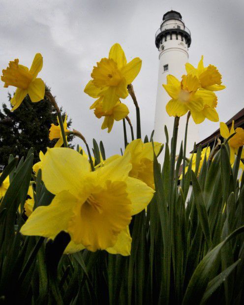 Lighthouse Flowers.jpg